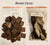 Brown Cinca Loose Tiles
